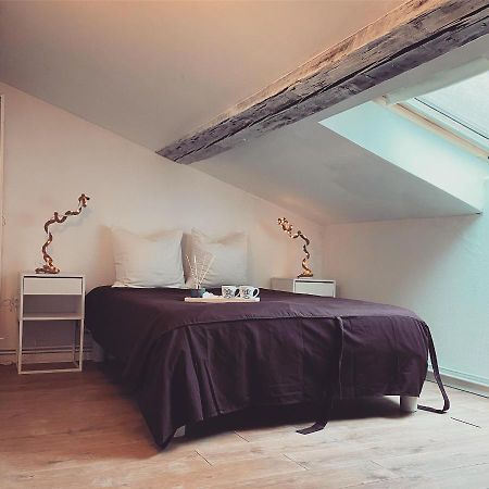 Superbe Duplex En Plein Coeur De Nancy Luaran gambar