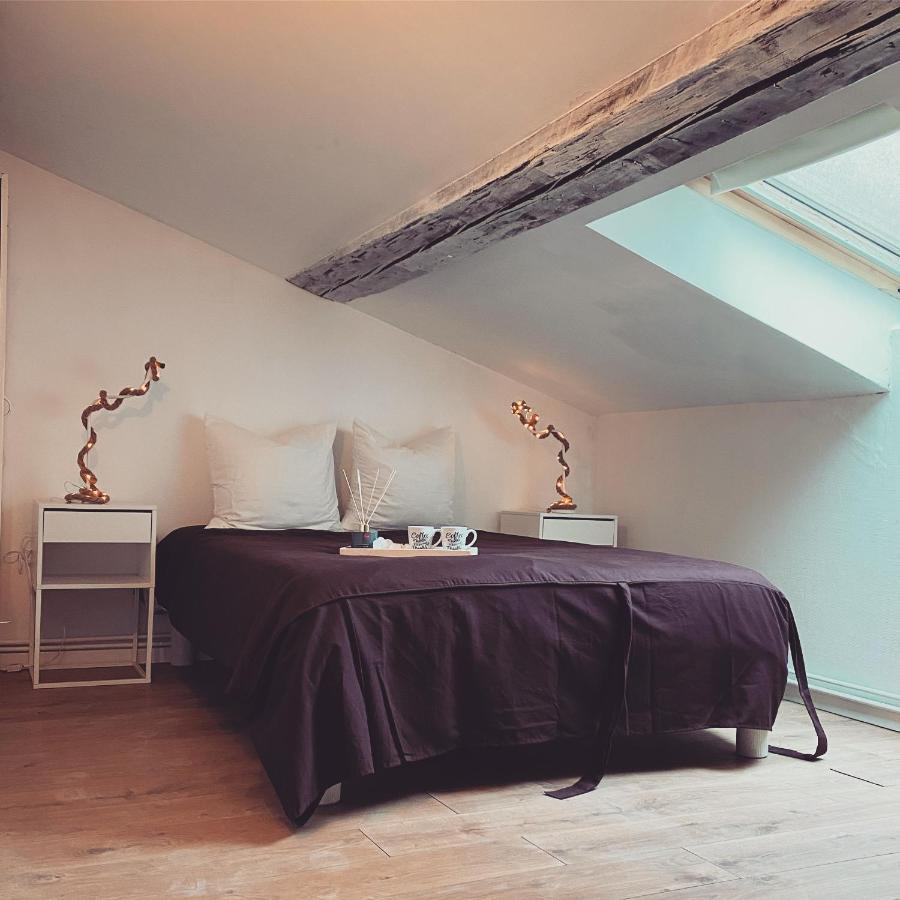 Superbe Duplex En Plein Coeur De Nancy Luaran gambar